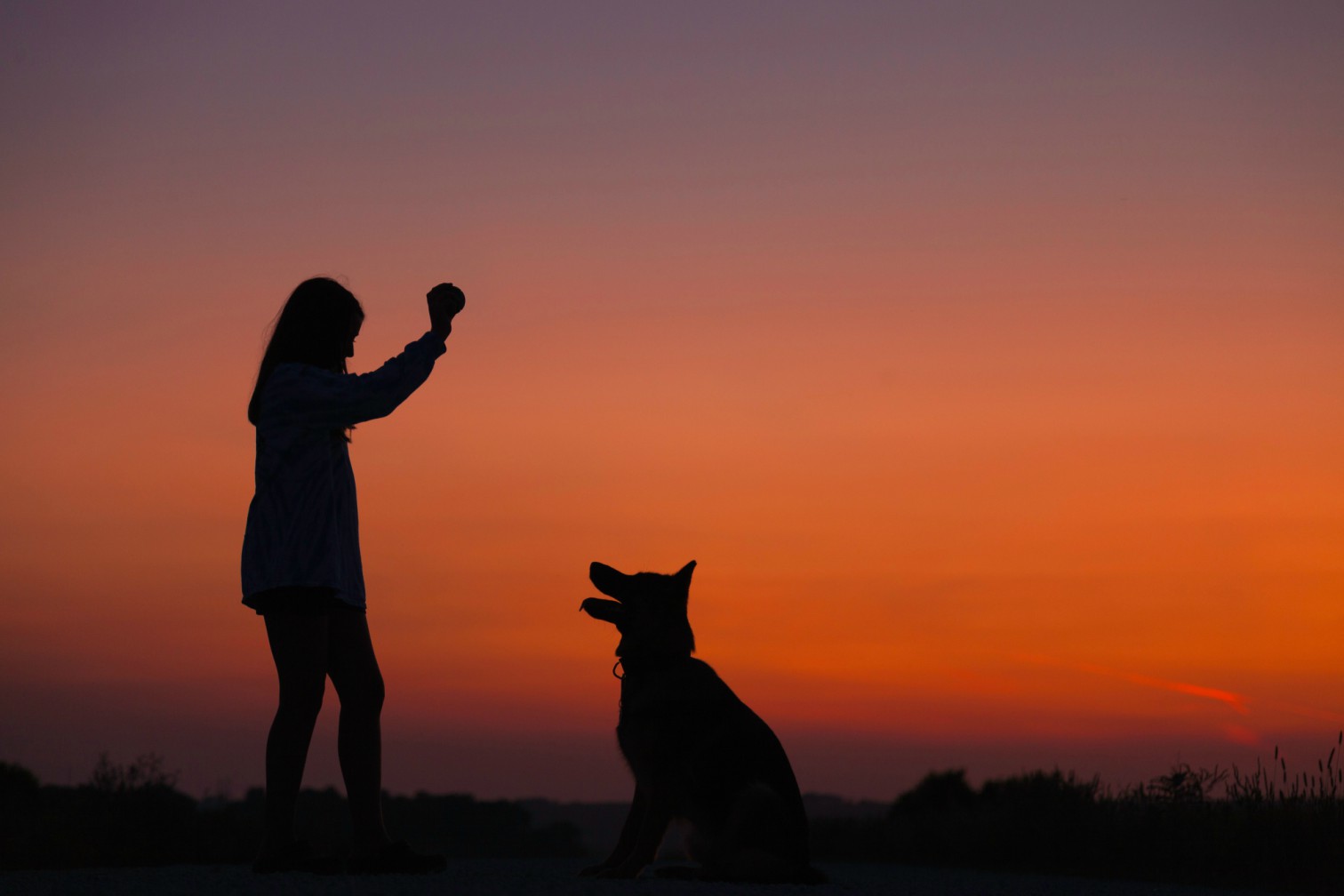 Our Evolving Relationship With Pets – From Companions to Family Members and Beyond